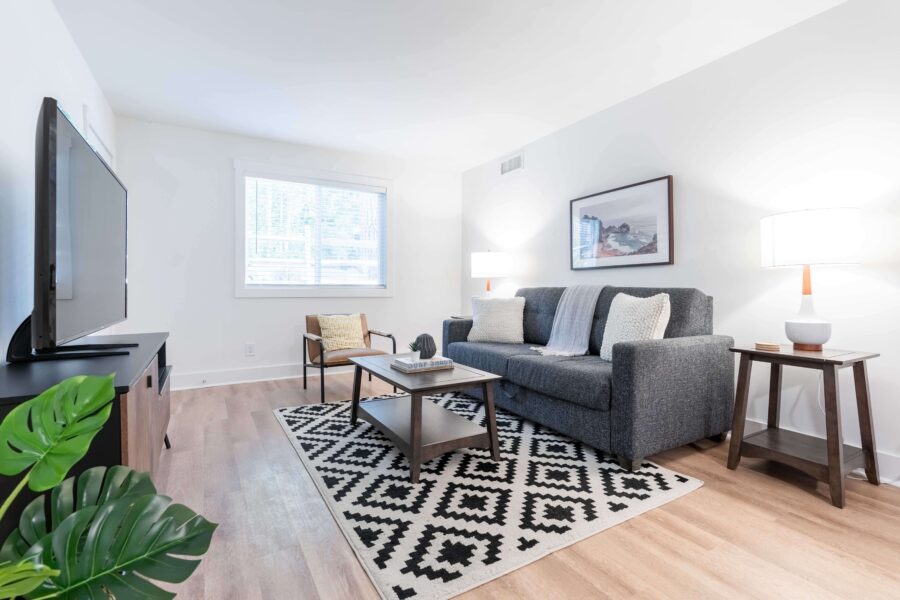 living room with sofa and TV