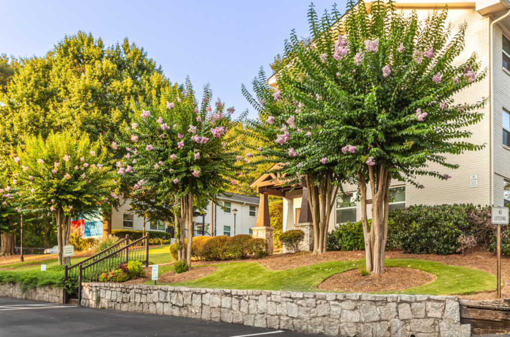 trees outside an apartment building